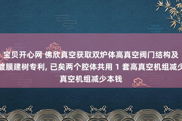 宝贝开心网 佛欣真空获取双炉体高真空阀门结构及真空镀膜建树专利， 已矣两个腔体共用 1 套高真空机组减少本钱