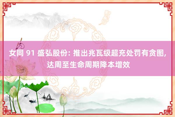 女同 91 盛弘股份: 推出兆瓦级超充处罚有贪图， 达周至生命周期降本增效